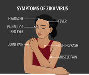Zika Infographic for Pregnancy