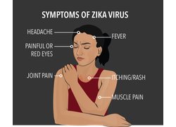 Zika and My Partner Pamphlet