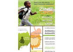 Zinc+ORS Brochure